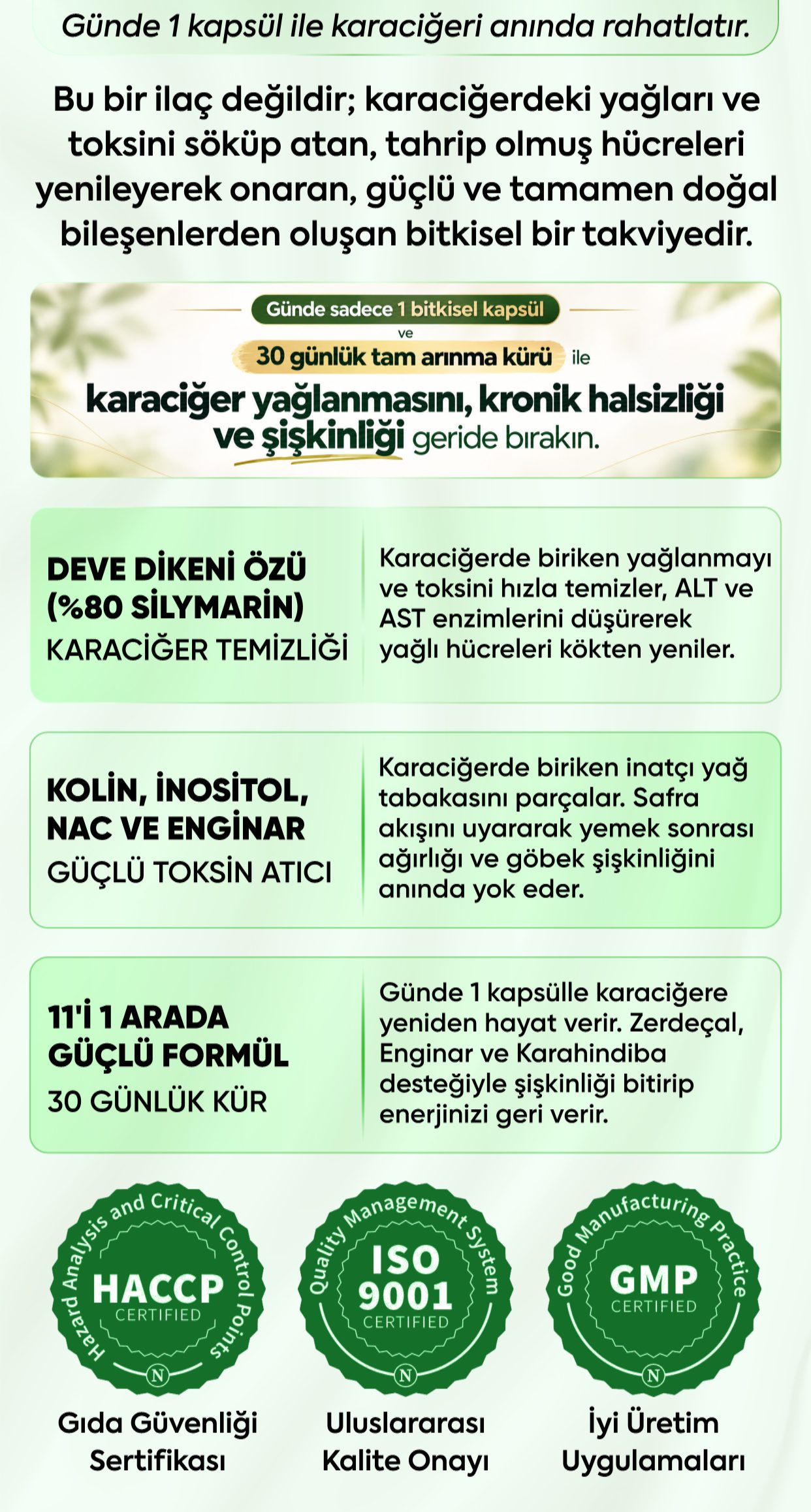Promotional Imasge 1